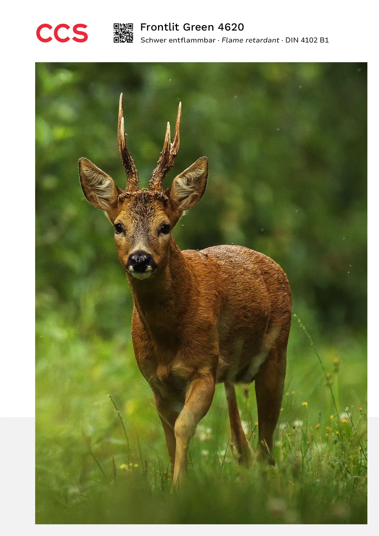 CCS_fabric_frame_produkt_fabric_frontlit_green_4620 Frontlit Green 4620