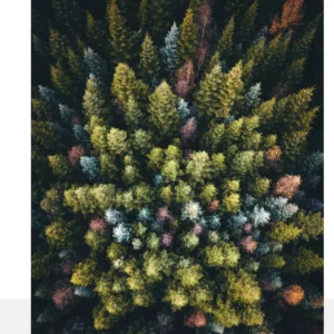 Banner Green 1017 Fabric